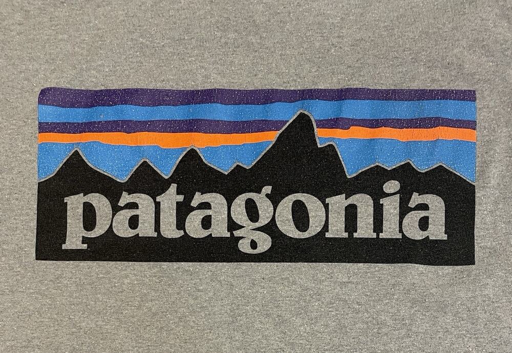 Patagonia Women Graphic Cotton Tee Gray Medium Reg Fit Cut Off Cropped Shirt